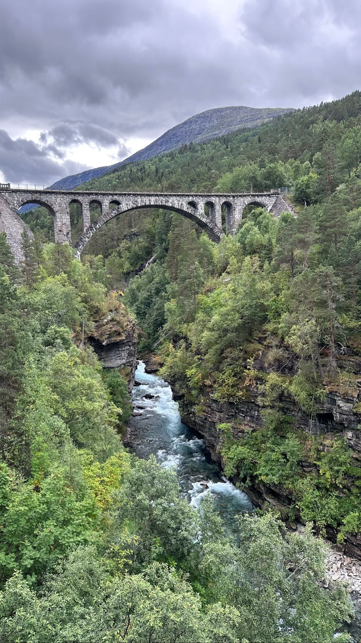 Kylling bru, Noruega