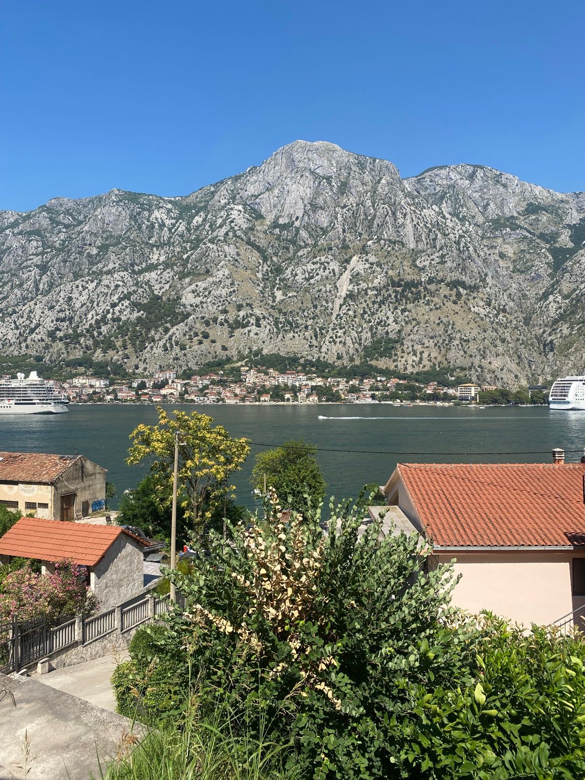 Kotor