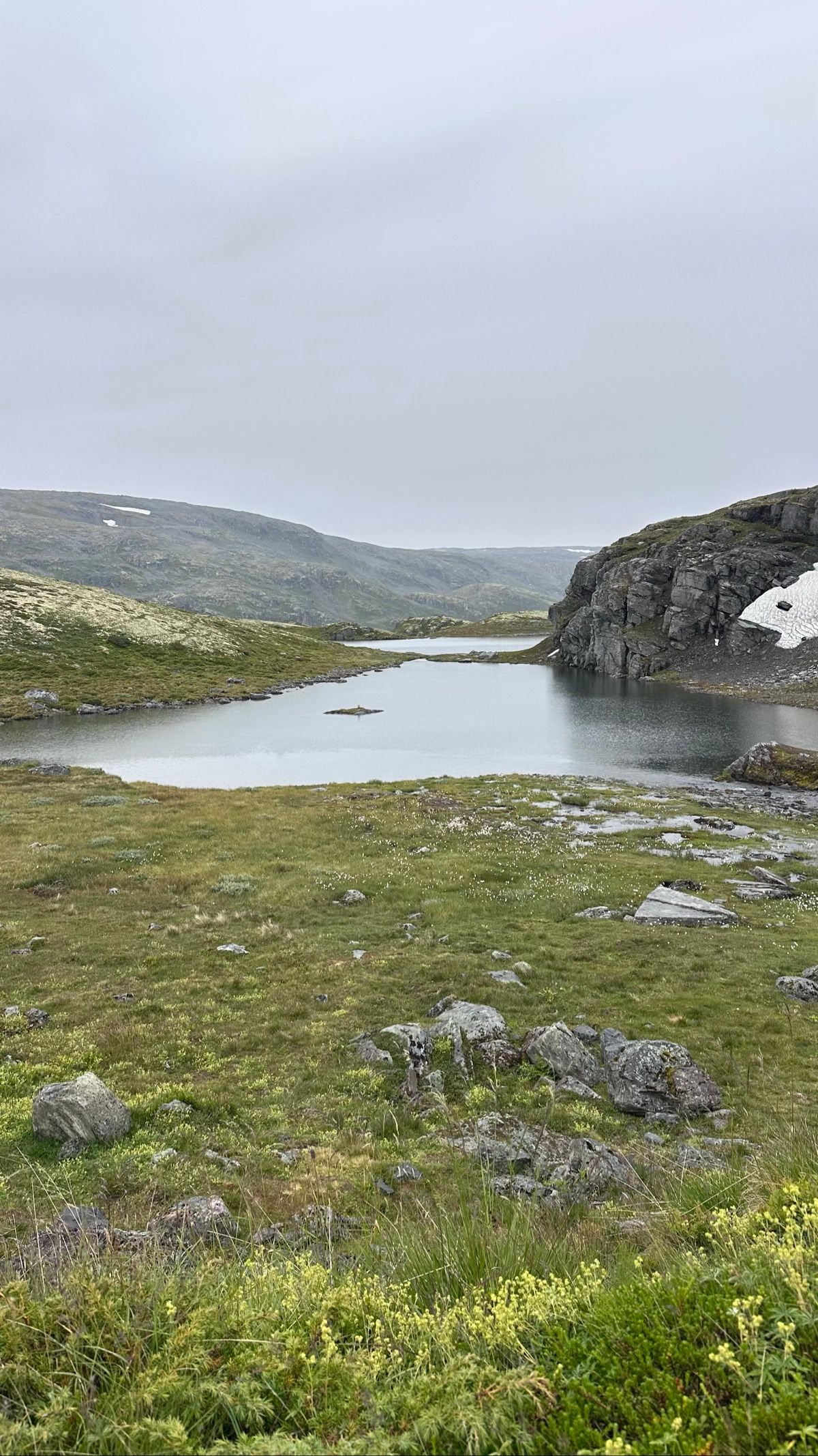 Carretera panoràmica Bjorgavegen / Aurlandsfjellet